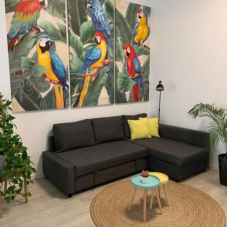 Casa Papagayo Apartment Santa Cruz de Tenerife Bagian luar foto