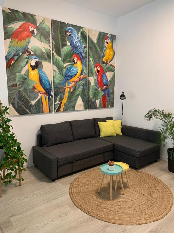 Casa Papagayo Apartment Santa Cruz de Tenerife Bagian luar foto